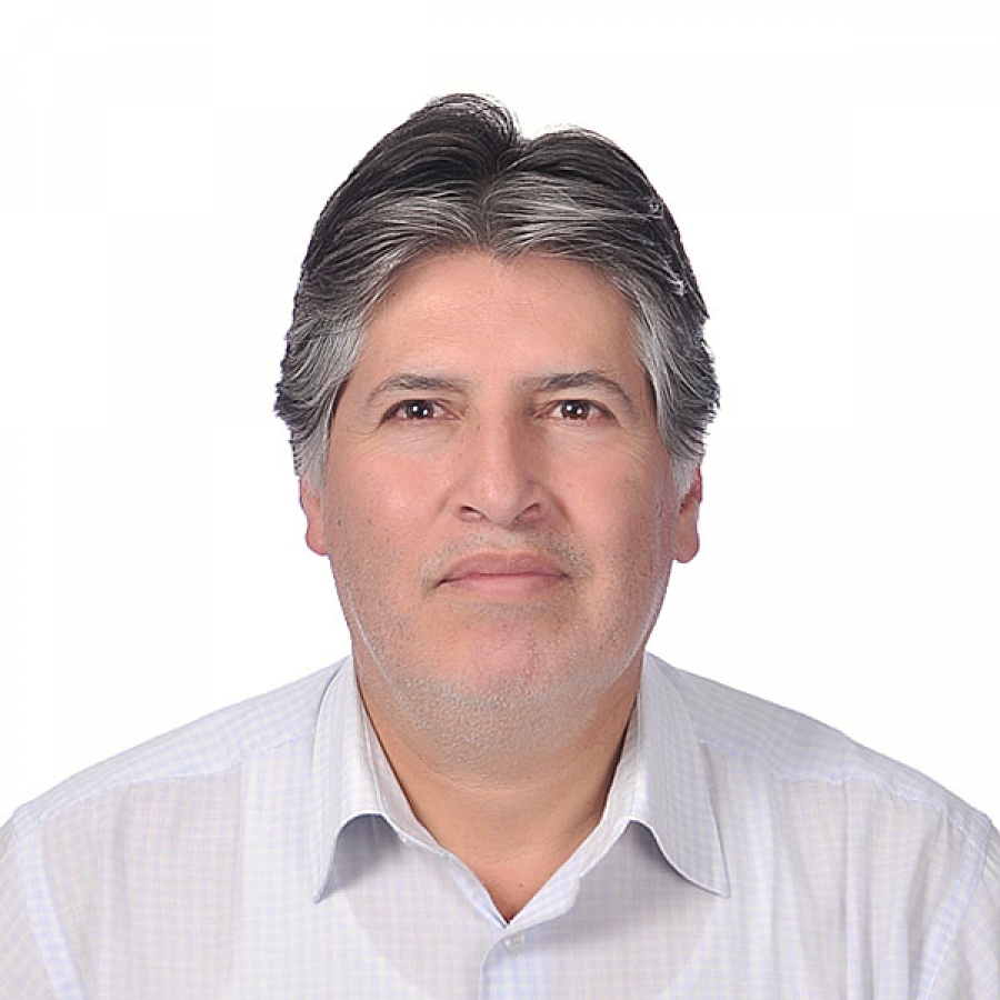 Marcelo Collao Grandi